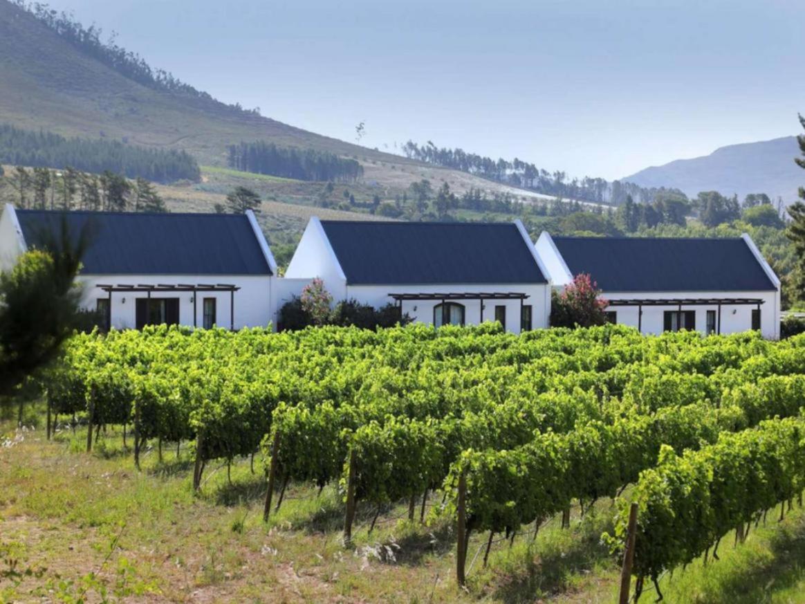 Bed and Breakfast Chambray Estate - The Terraces In The Vines Франсхук Экстерьер фото