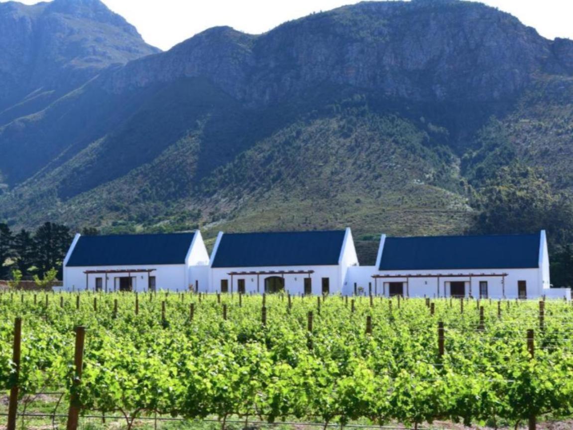 Bed and Breakfast Chambray Estate - The Terraces In The Vines Франсхук Экстерьер фото