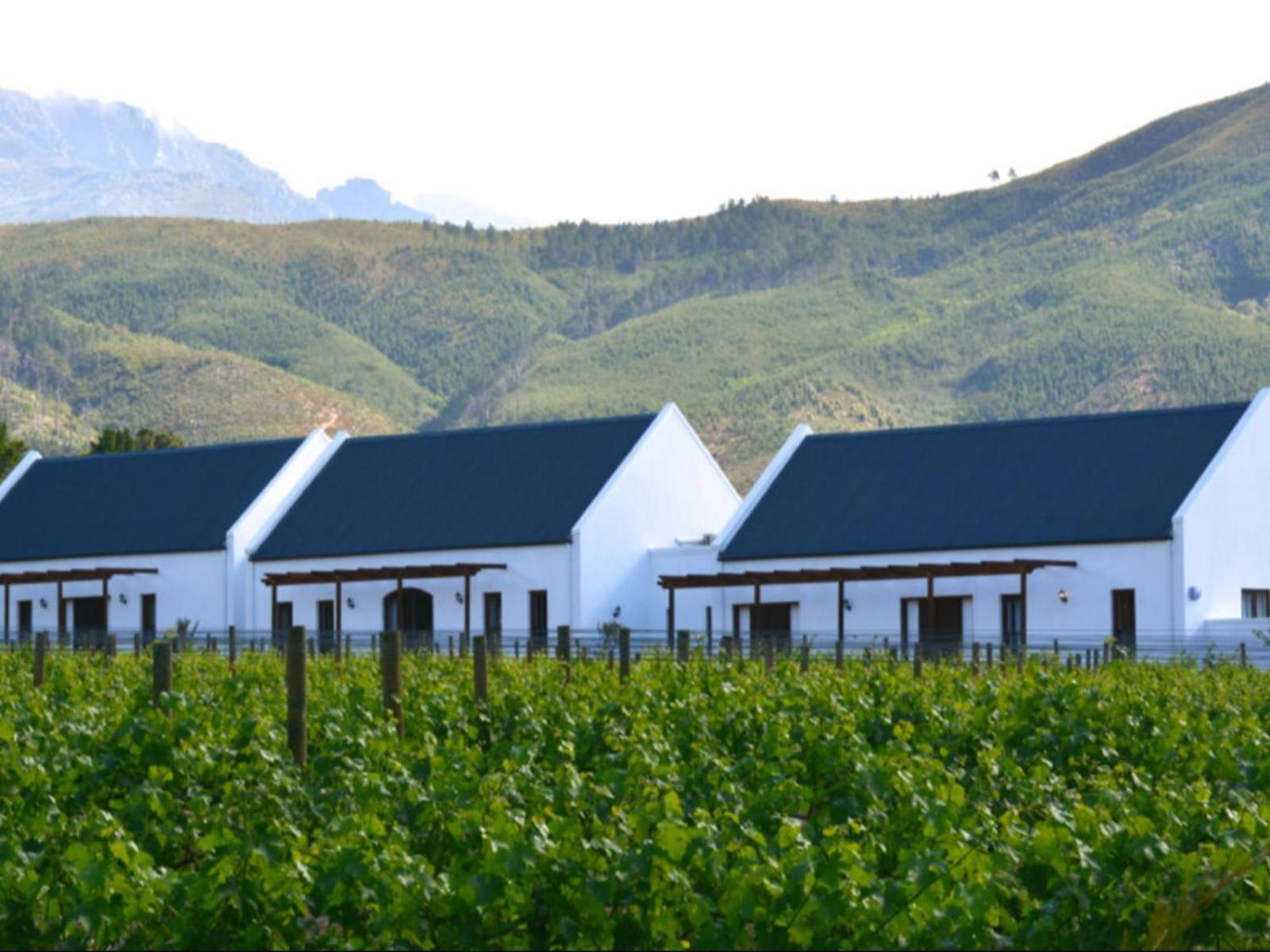 Bed and Breakfast Chambray Estate - The Terraces In The Vines Франсхук Экстерьер фото